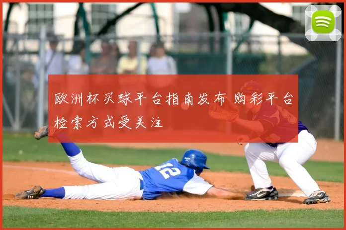 欧洲杯买球平台指南发布 购彩平台检索方式受关注
