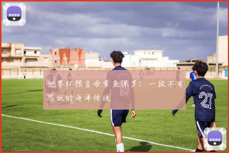 世界杯预言帝章鱼保罗：一段不可思议的海洋传说