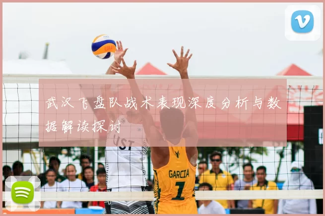 武汉飞盘队战术表现深度分析与数据解读探讨