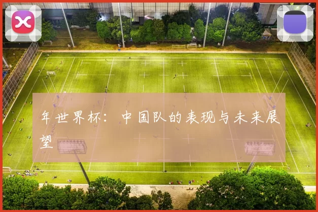 年世界杯:中国队的表现与未来展望