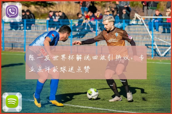 陈一发世界杯解说回放引热议,专业点评获球迷点赞