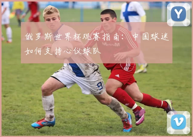 俄罗斯世界杯观赛指南：中国球迷如何支持心仪球队