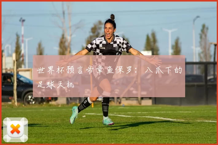 世界杯预言帝章鱼保罗：八爪下的足球天机