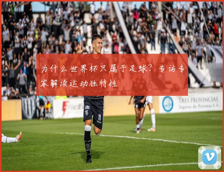 为什么世界杯只属于足球？专访专家解读运动独特性